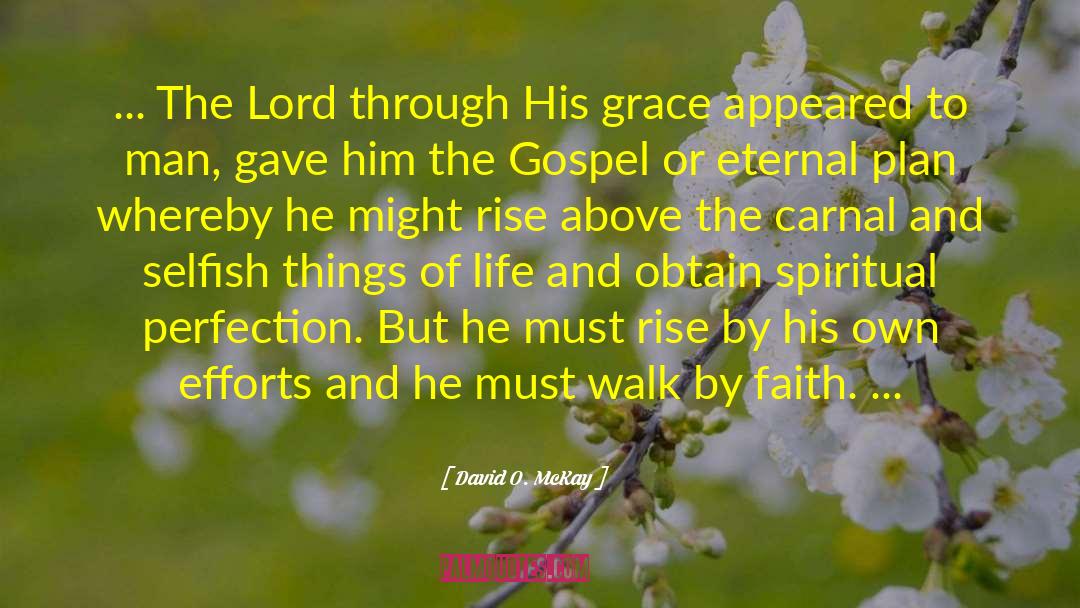 Walk By Faith quotes by David O. McKay