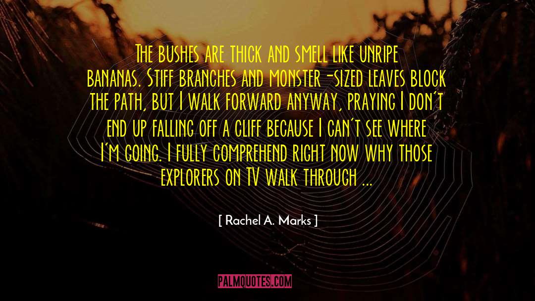 Walk Forward quotes by Rachel A. Marks