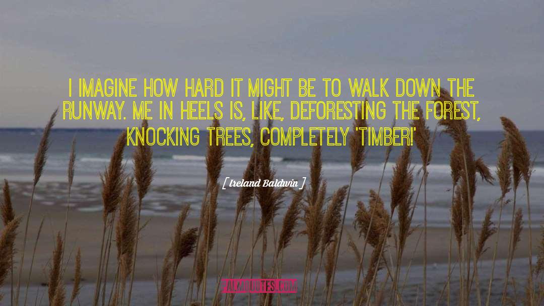 Walk In The Woods quotes by Ireland Baldwin
