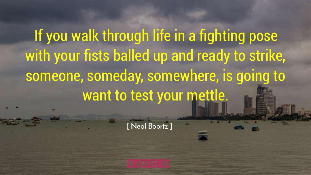 Walk In Your Shoes quotes by Neal Boortz