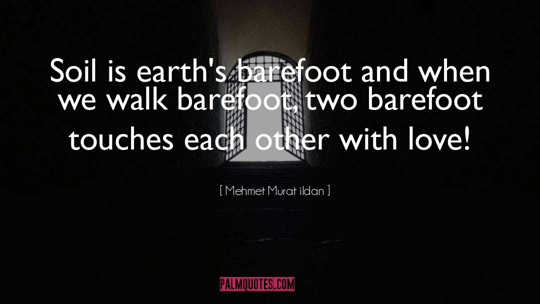 Walk Two Moons quotes by Mehmet Murat Ildan
