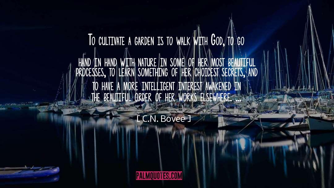Walk With God quotes by C.N. Bovee
