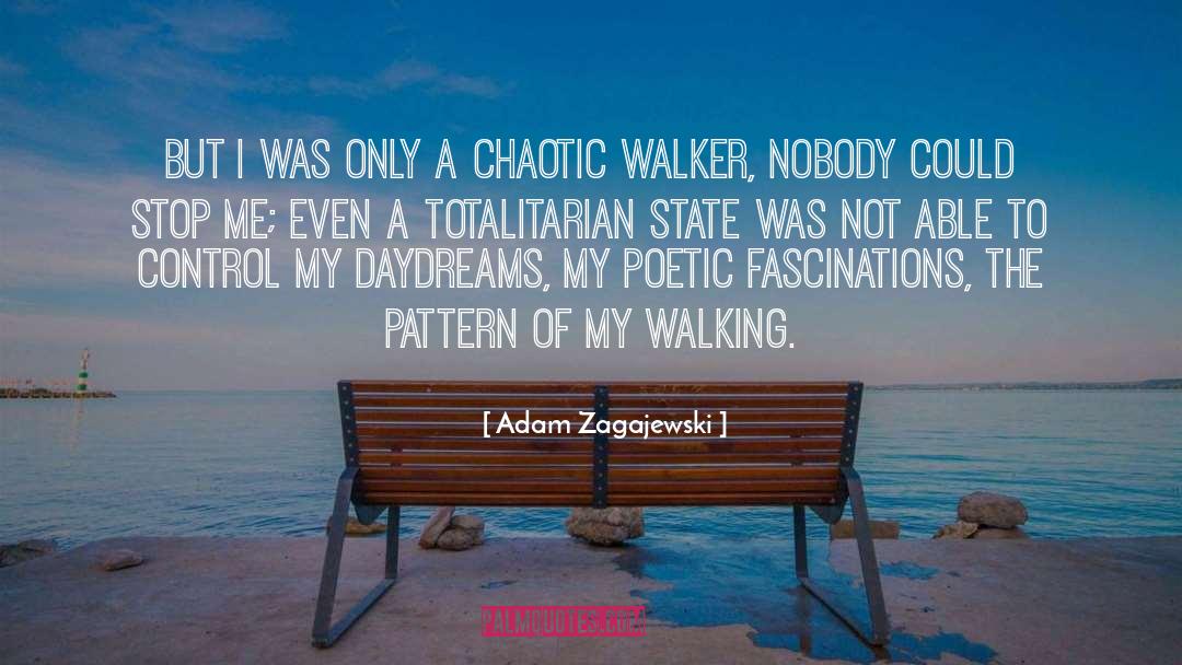 Walkers quotes by Adam Zagajewski
