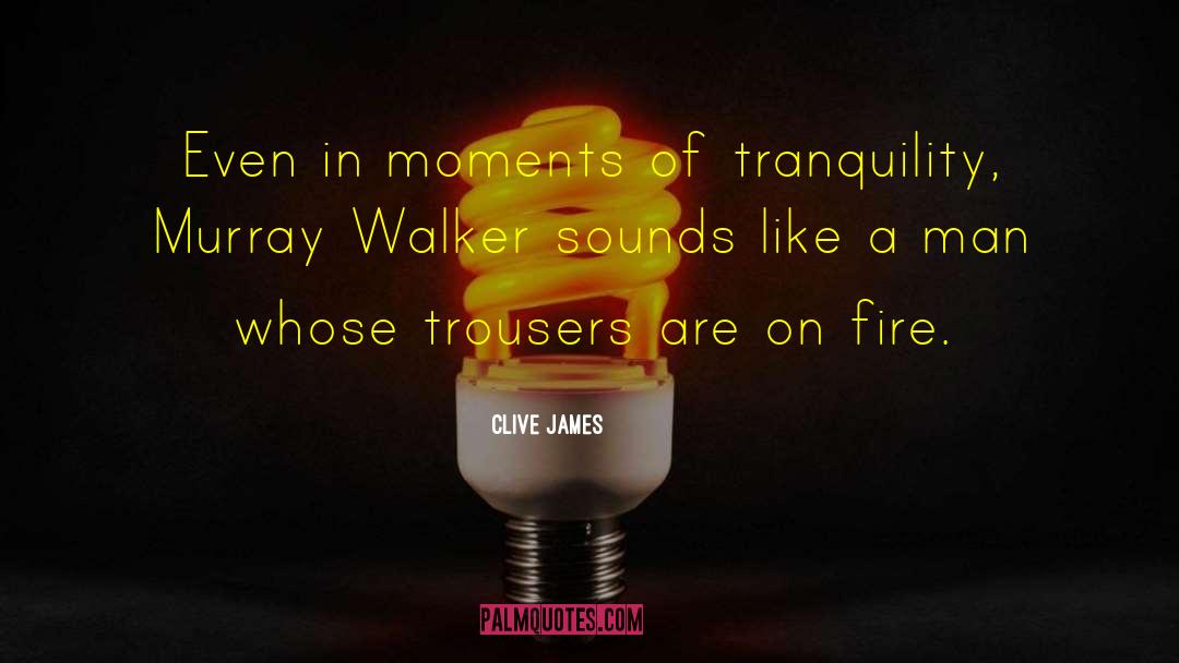 Walkers quotes by Clive James