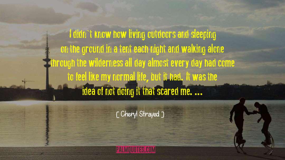 Walking Alone quotes by Cheryl Strayed
