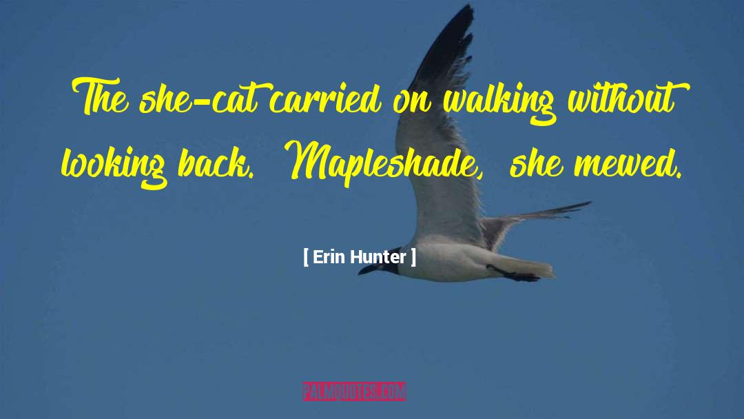 Walking Away And Never Looking Back quotes by Erin Hunter