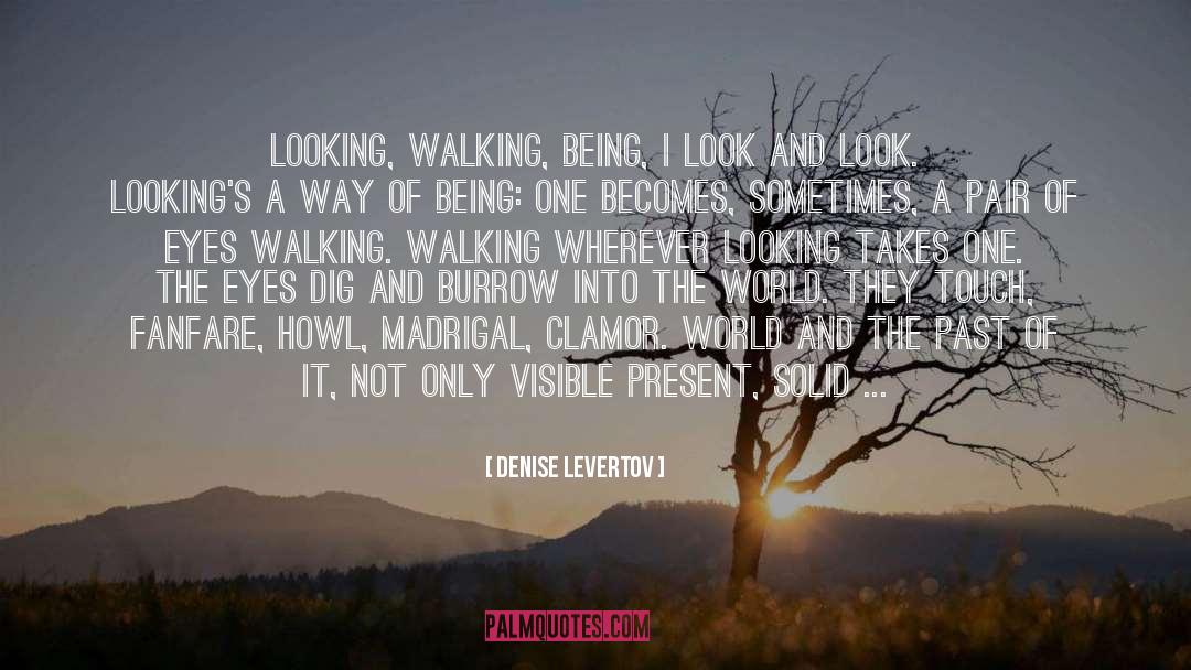 Walking Away And Never Looking Back quotes by Denise Levertov