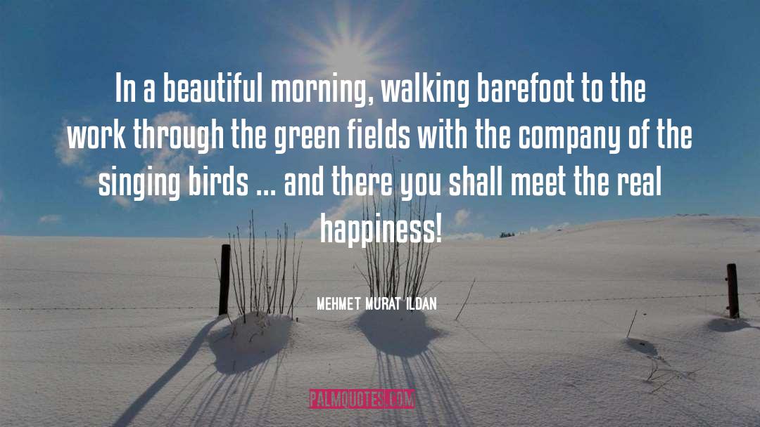 Walking Barefoot quotes by Mehmet Murat Ildan