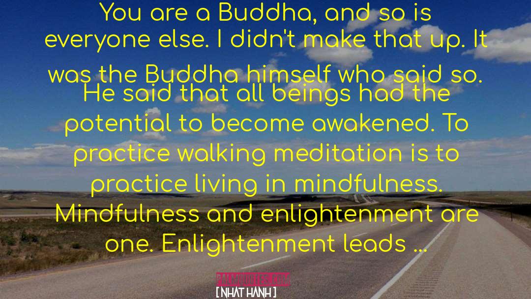 Walking Meditation quotes by Nhat Hanh