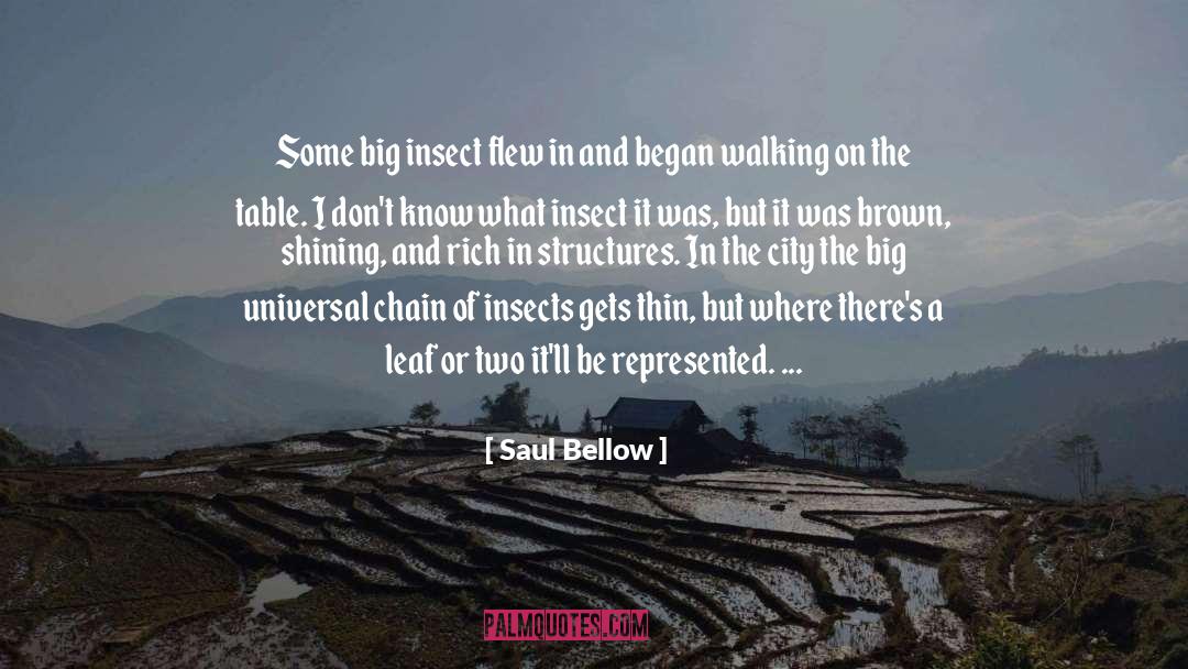 Walking On A Thin Line quotes by Saul Bellow