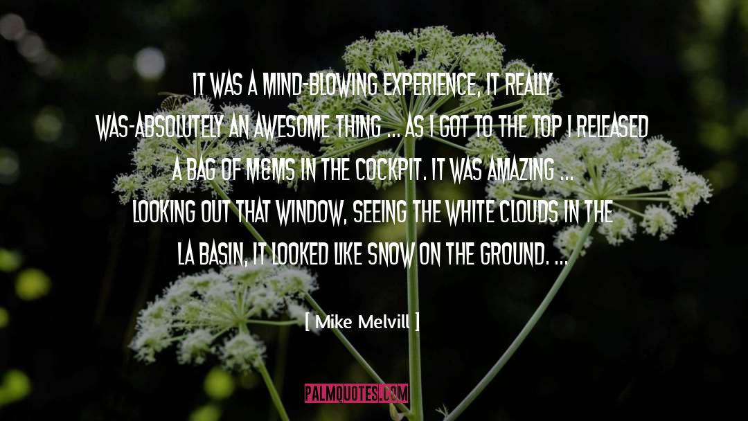 Walking On Snow quotes by Mike Melvill