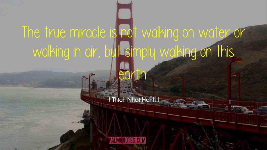 Walking On Water quotes by Thich Nhat Hanh