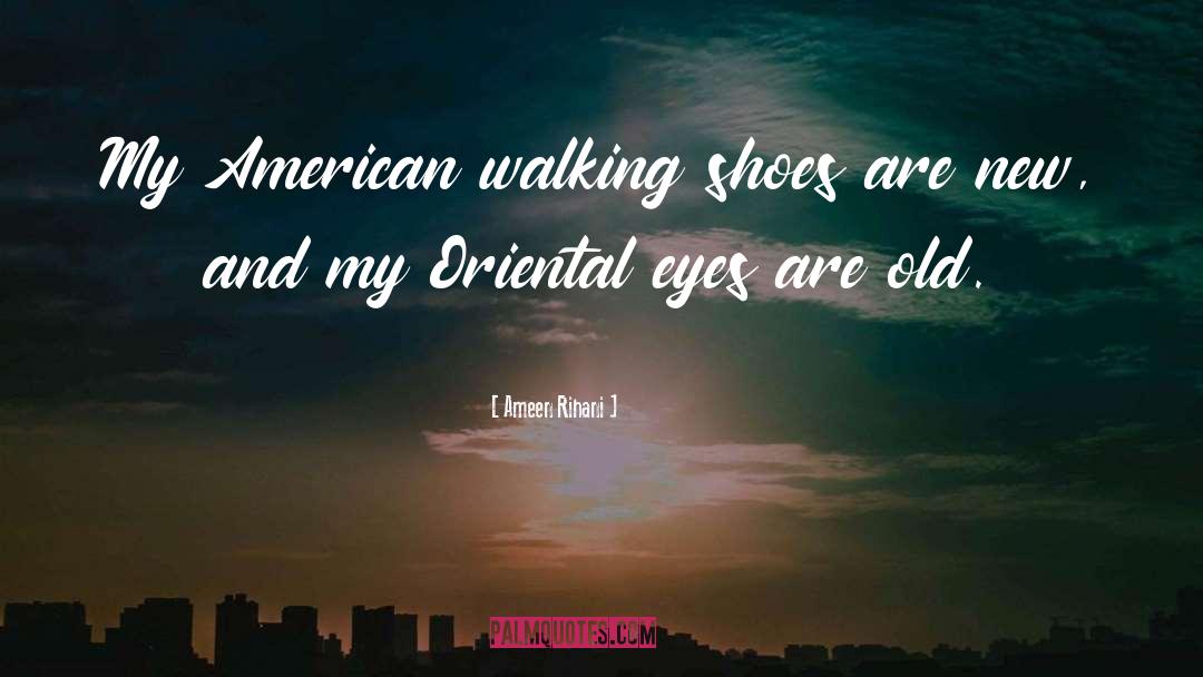 Walking Shoes quotes by Ameen Rihani