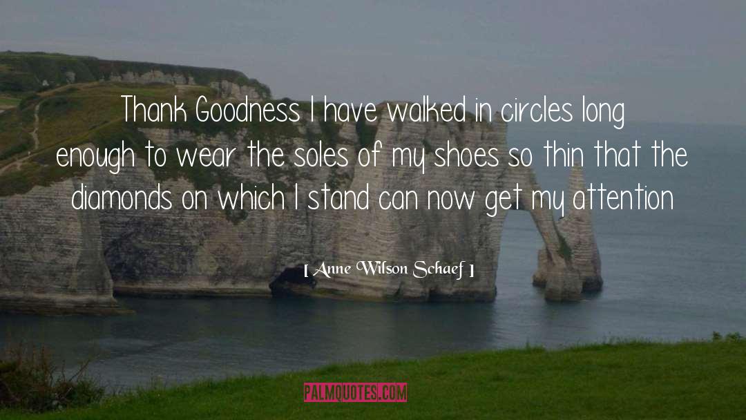 Walking Shoes quotes by Anne Wilson Schaef