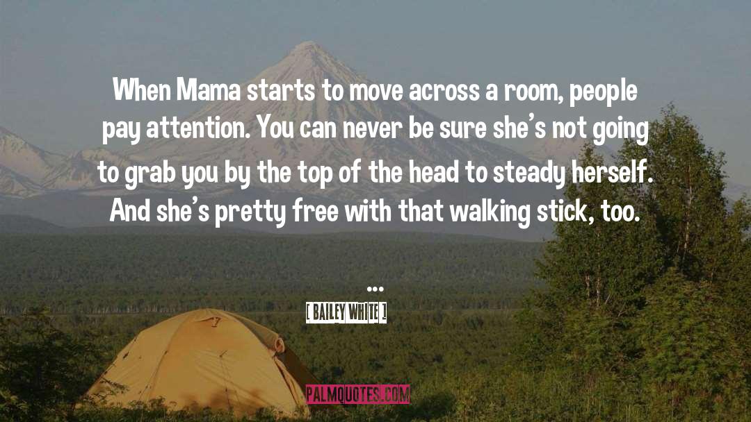 Walking Sticks quotes by Bailey White