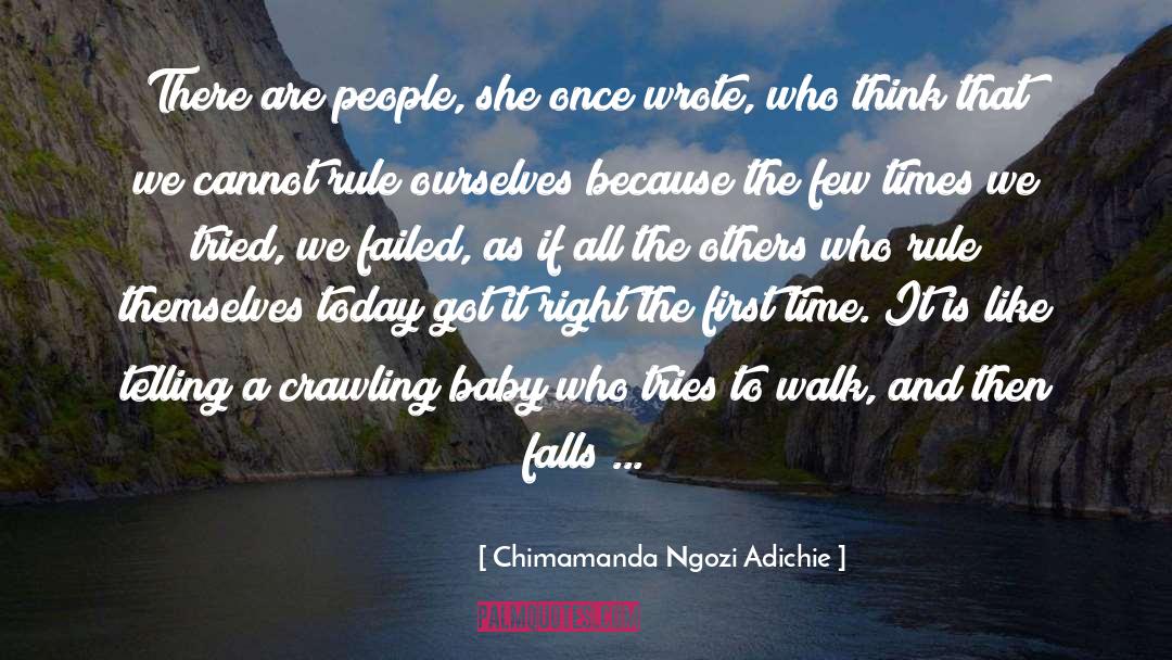 Walking Sticks quotes by Chimamanda Ngozi Adichie