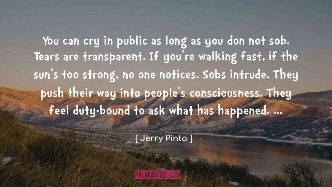 Walking The Camino quotes by Jerry Pinto