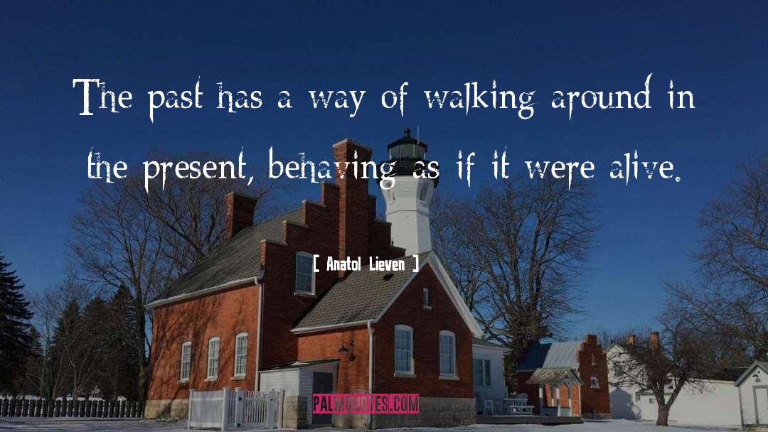 Walking The Camino quotes by Anatol Lieven
