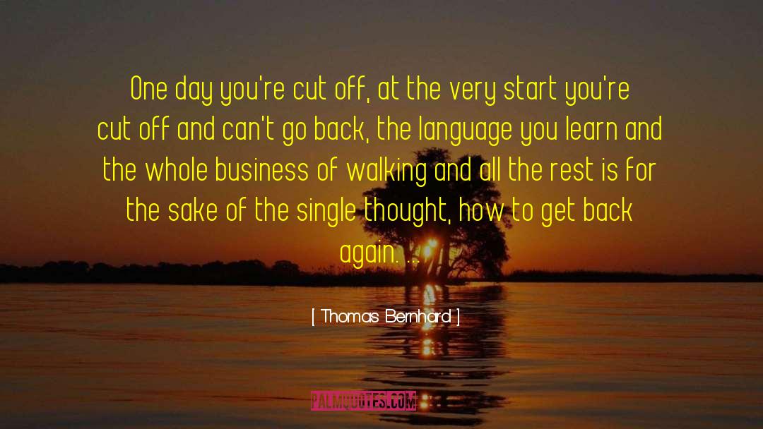 Walking The Dream quotes by Thomas Bernhard