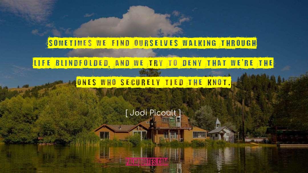 Walking Through Life quotes by Jodi Picoult