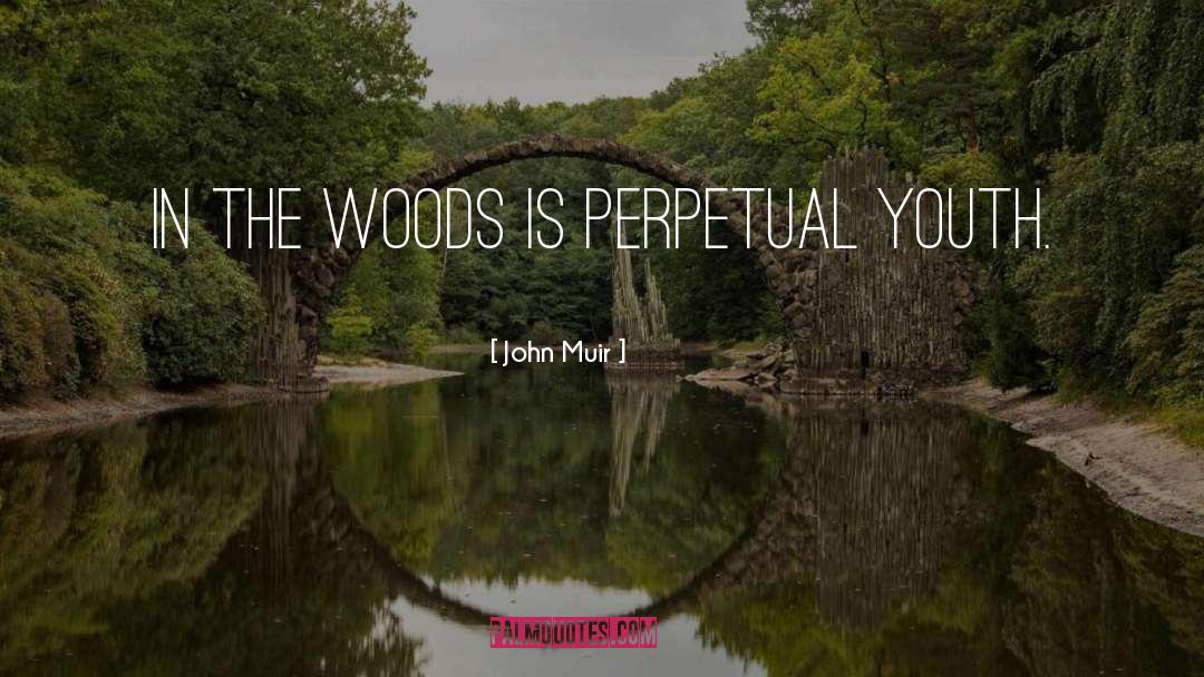 Walks In The Woods quotes by John Muir