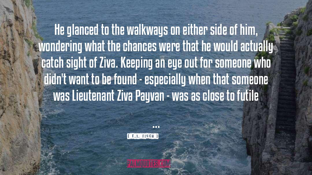 Walkways quotes by E.J. Fisch