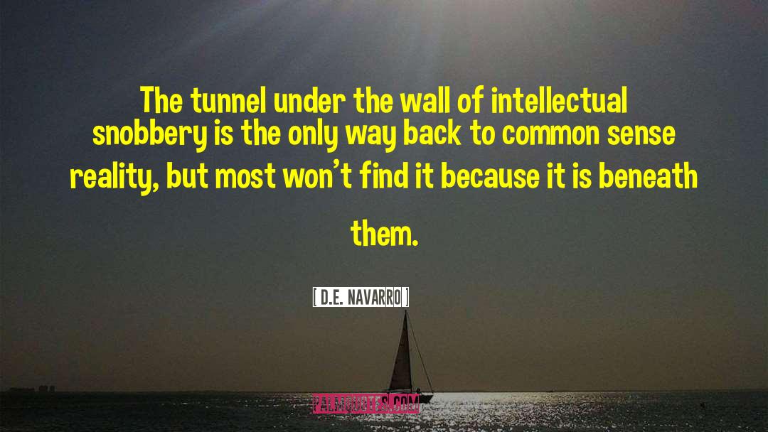 Wall Hanger quotes by D.E. Navarro