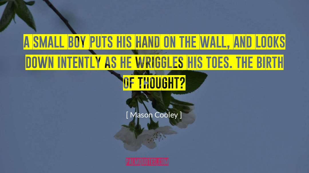 Wall Hanger quotes by Mason Cooley