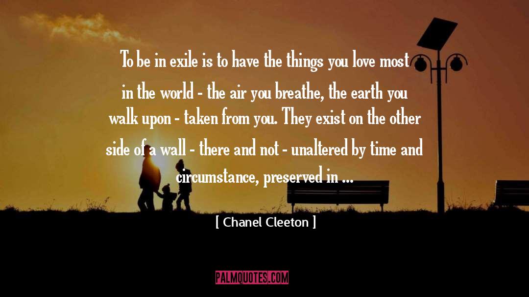 Wall Of Agony quotes by Chanel Cleeton