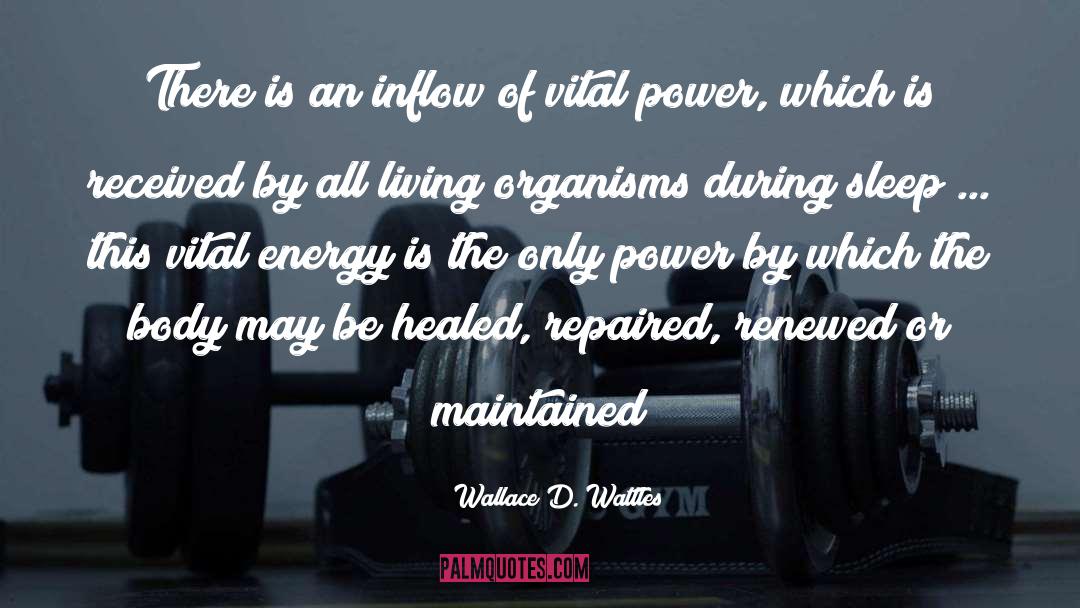 Wallace Fard quotes by Wallace D. Wattles