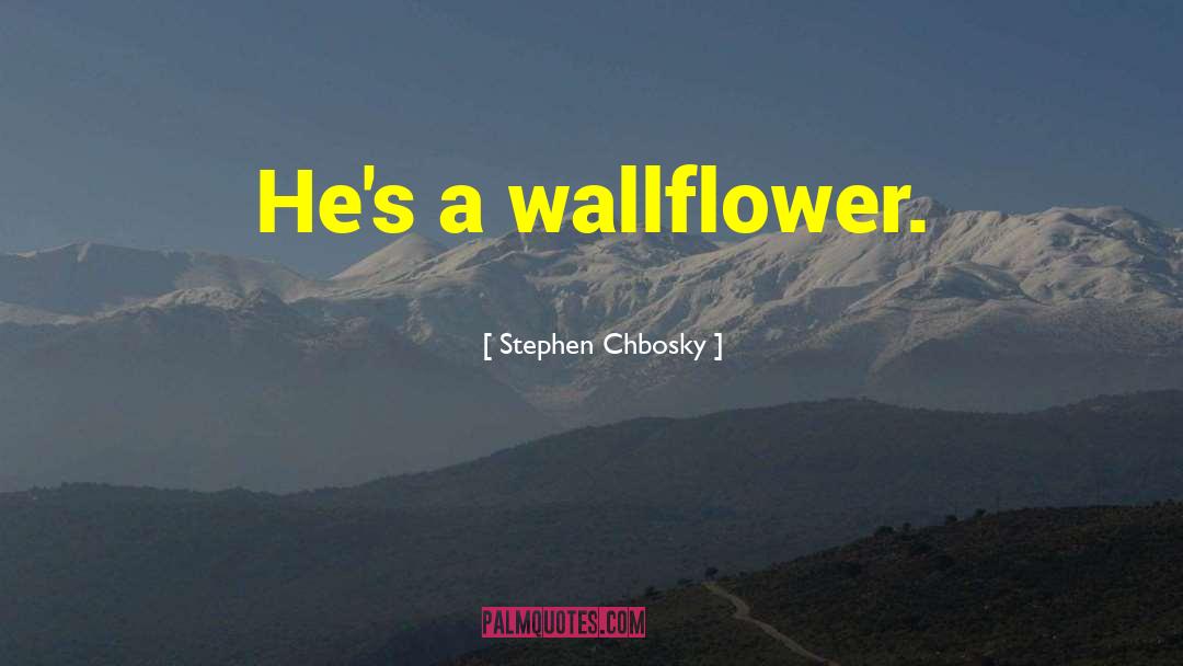 Wallflower quotes by Stephen Chbosky