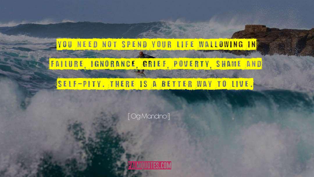 Wallowing quotes by Og Mandino