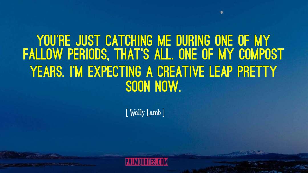 Wally Mars quotes by Wally Lamb