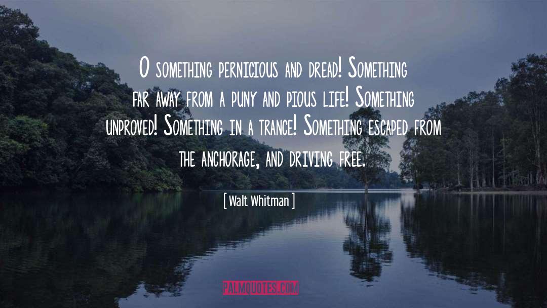 Walt Longmire quotes by Walt Whitman