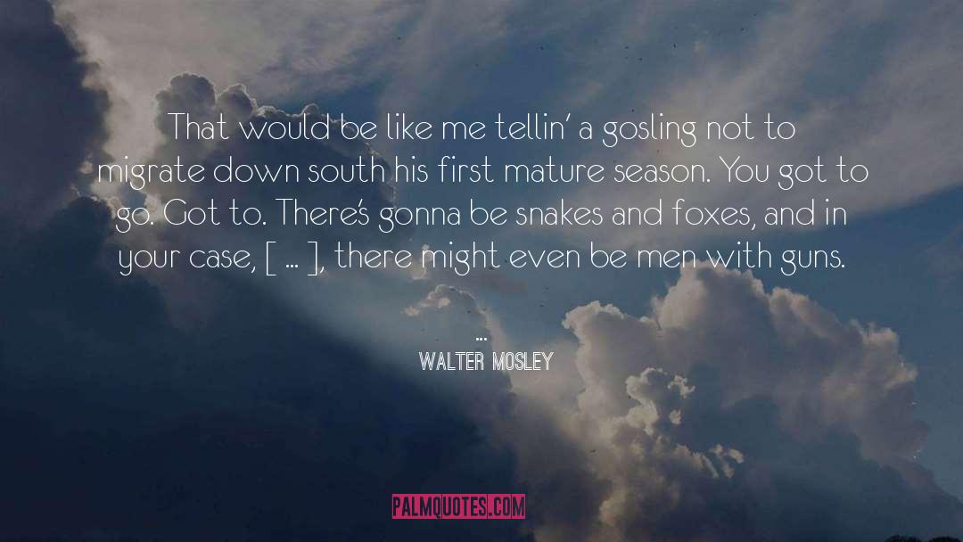 Walter Mosley quotes by Walter Mosley