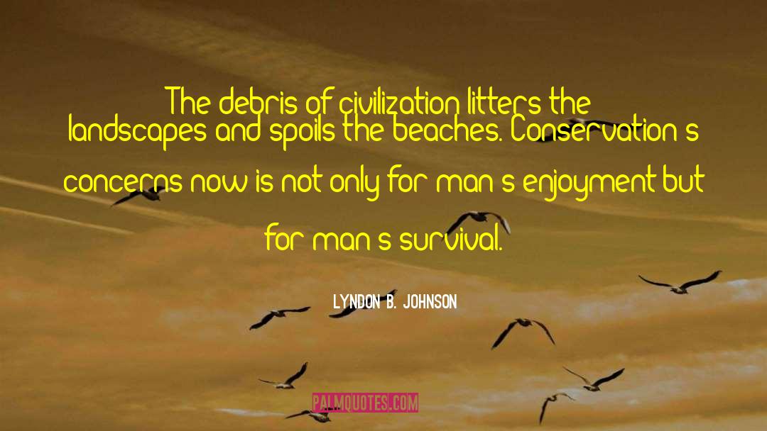 Wamala Beaches quotes by Lyndon B. Johnson