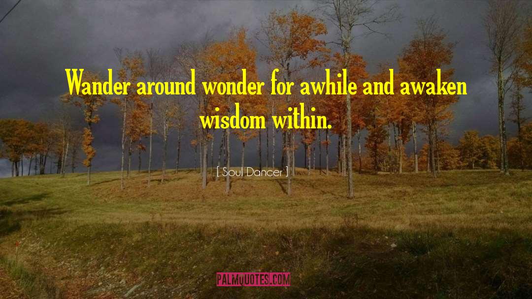 Wander Wonder quotes by Soul Dancer