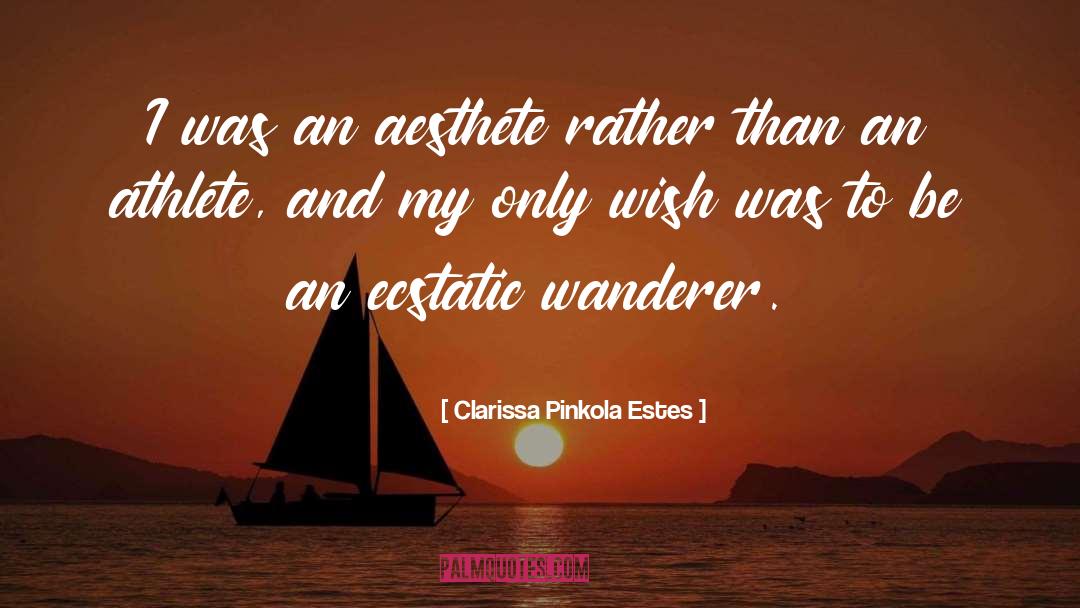 Wanderer quotes by Clarissa Pinkola Estes