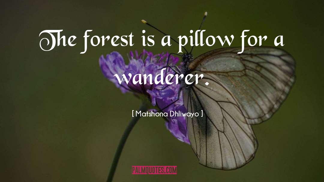 Wanderer quotes by Matshona Dhliwayo