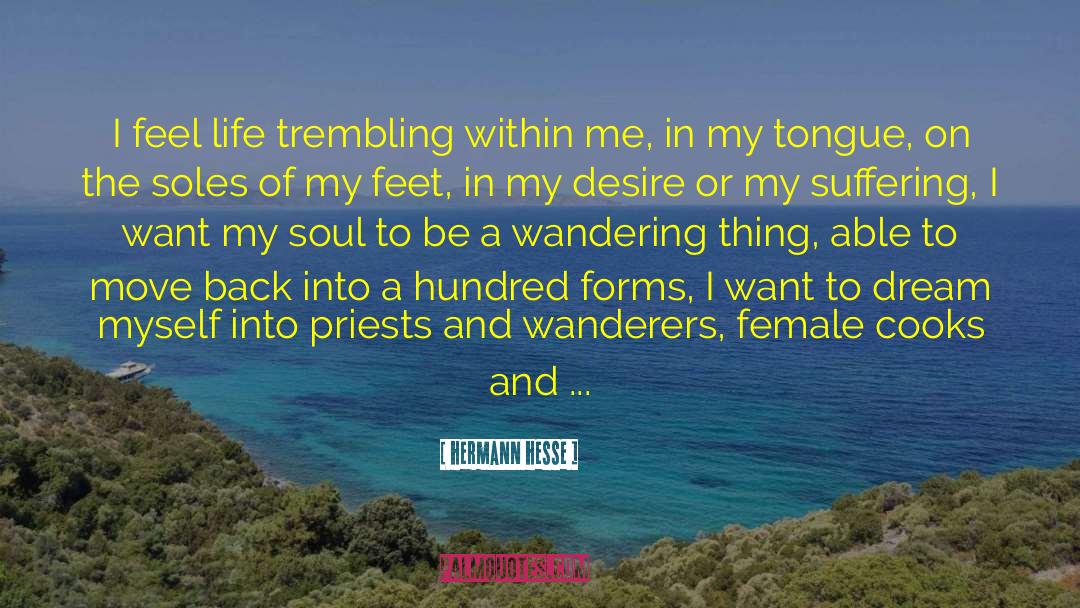 Wanderers quotes by Hermann Hesse