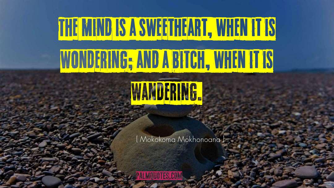 Wandering Mind quotes by Mokokoma Mokhonoana