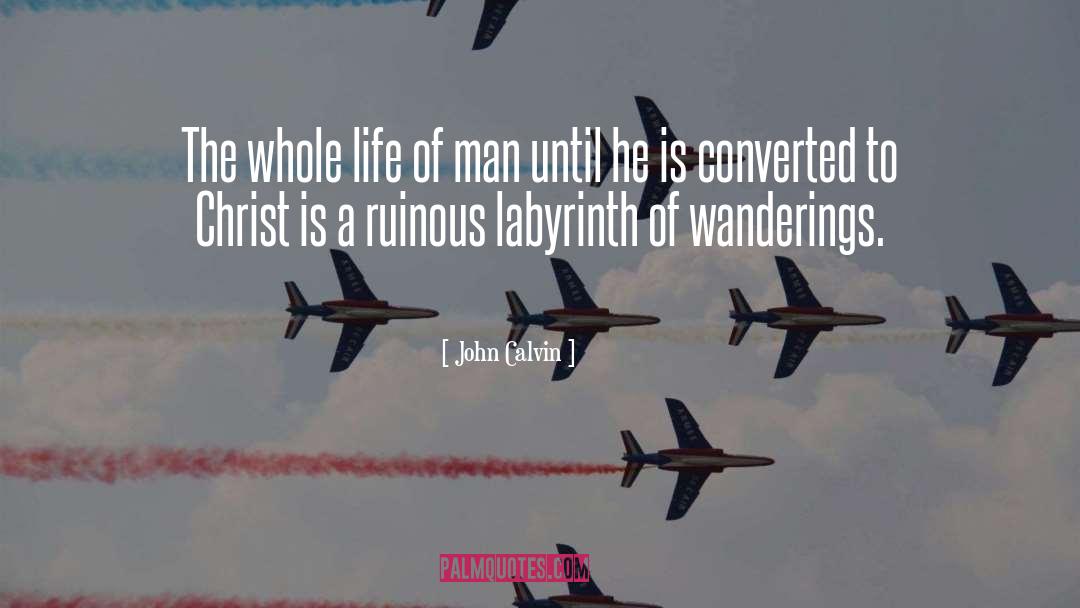 Wanderings quotes by John Calvin