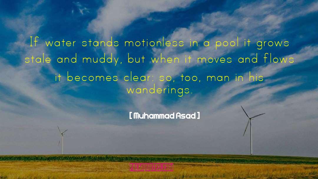 Wanderings quotes by Muhammad Asad