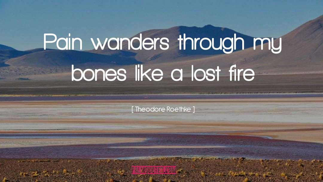 Wanders quotes by Theodore Roethke