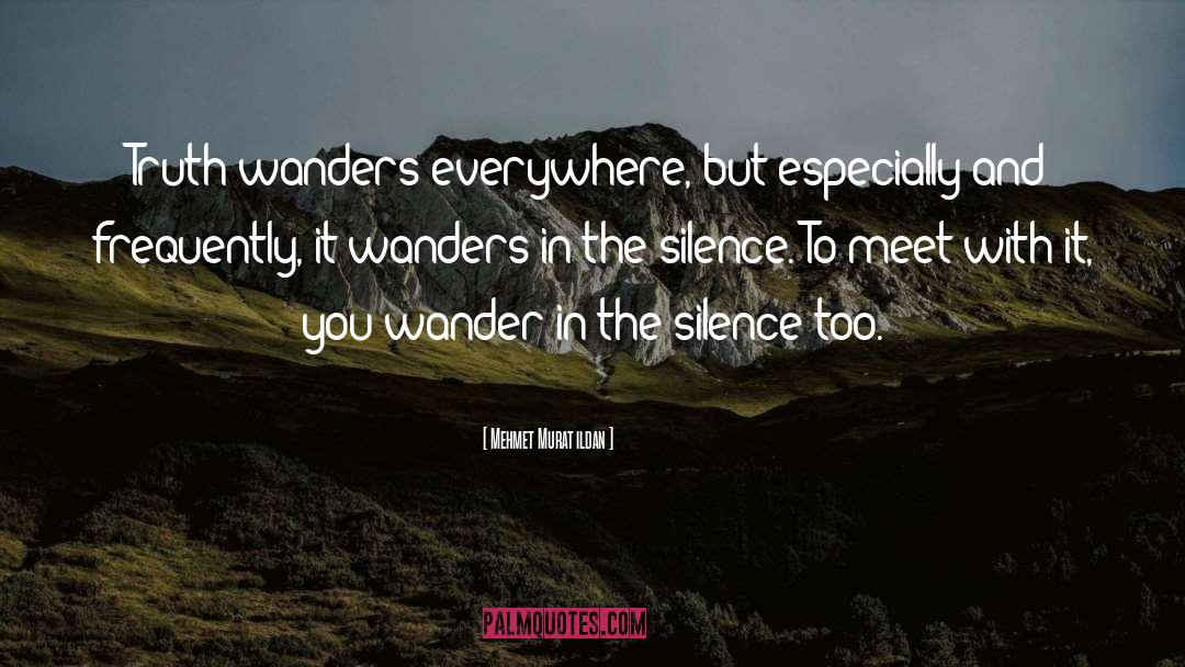 Wanders quotes by Mehmet Murat Ildan