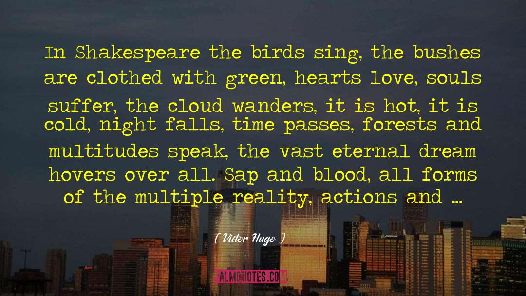 Wanders quotes by Victor Hugo