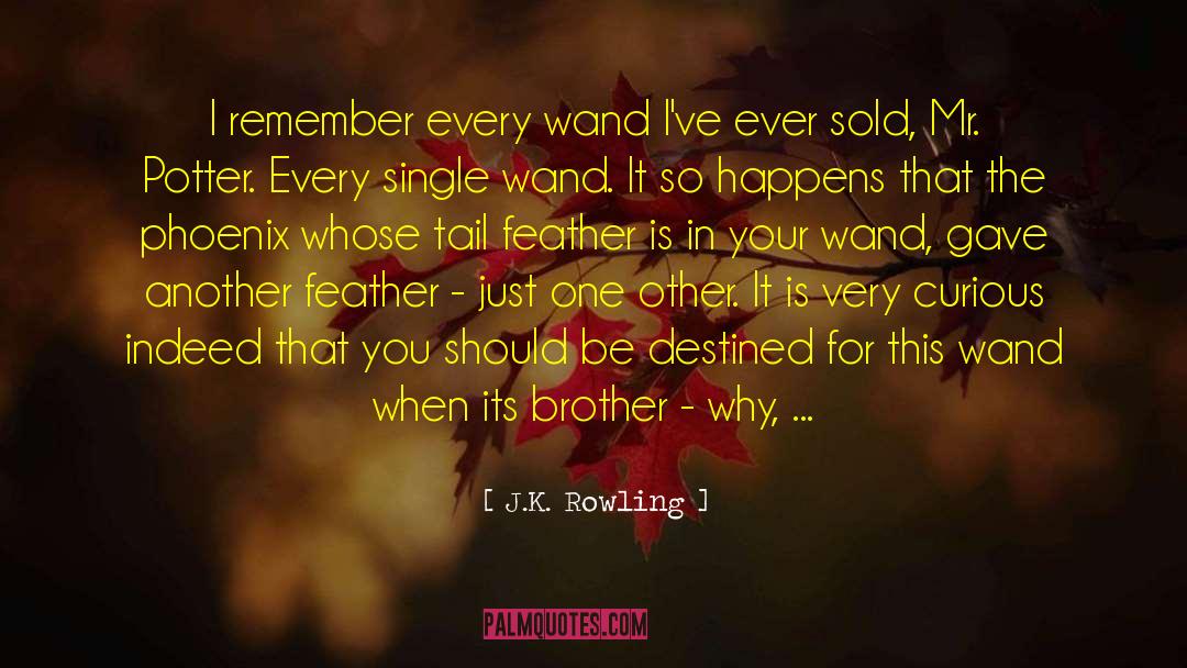 Wands quotes by J.K. Rowling