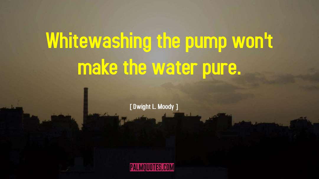 Wangen Pumps quotes by Dwight L. Moody
