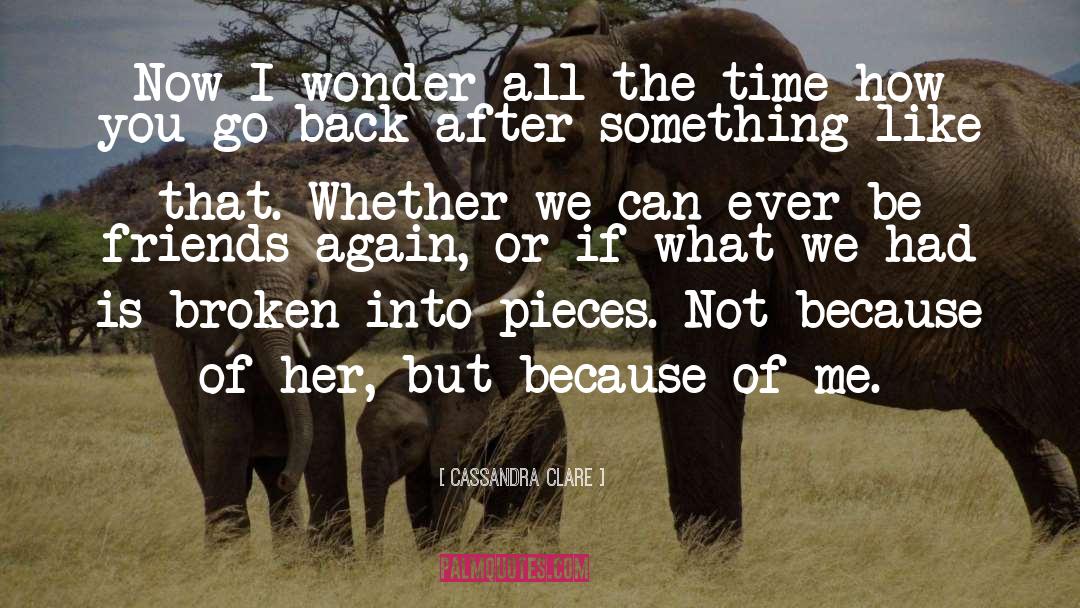Wanna Go Back Time quotes by Cassandra Clare