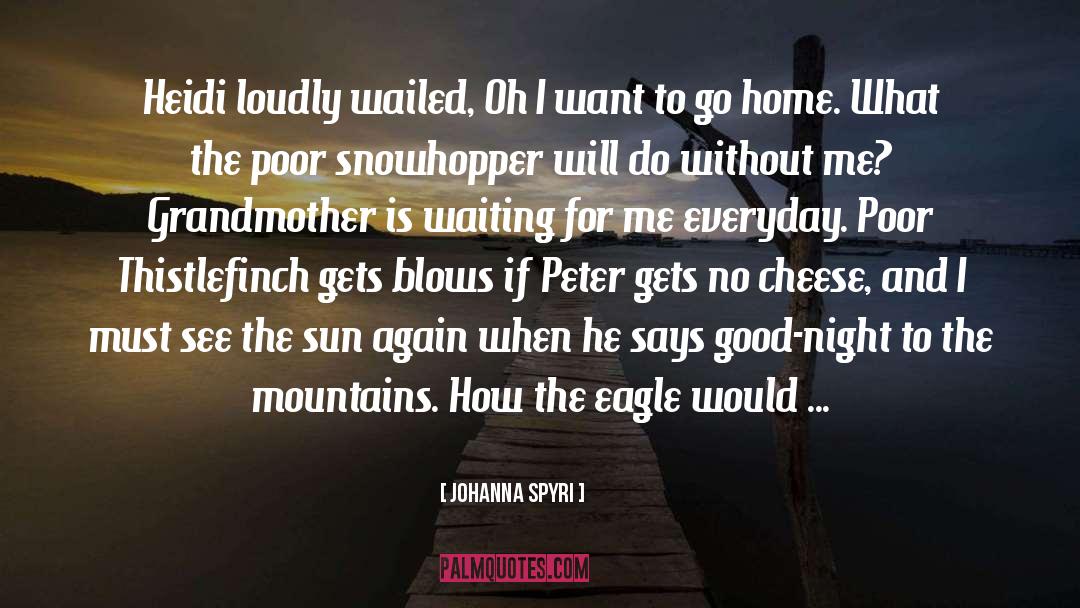 Want To Go Home quotes by Johanna Spyri
